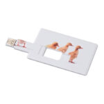Creditcard. USB flash 16GB als Werbeartikel mit Logodruck
