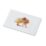 Creditcard. USB flash 16GB, Rückansicht
