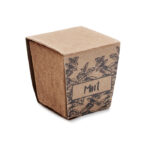 Pflanz-Set Minze – Seitenansicht