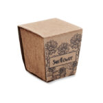 Pflanz-Set Sonnenblume – Seitenansicht
