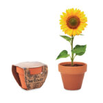Terracotta-Topf Sonnenblume als Werbeartikel mit Logodruck