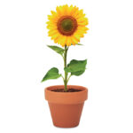 Terracotta-Topf Sonnenblume, Detailaufnahme des Materials