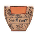 Terracotta-Topf Sonnenblume, weitere Ansicht