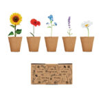 Saat-Set Sommerblumen als Werbeartikel mit Logodruck