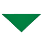 Bandana Polycotton Gruen, Seitenansicht