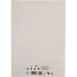 DIN A4 Wildblumen-Samenpapier, Rückansicht