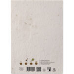 DIN A5 Wildblumen-Samenpapier, Rückansicht