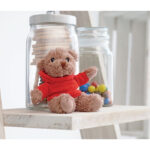 Teddybär mit Hoody  Rot im praktischen Einsatz