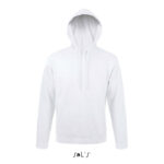 SNAKE Hoodie Grau – Vorderansicht